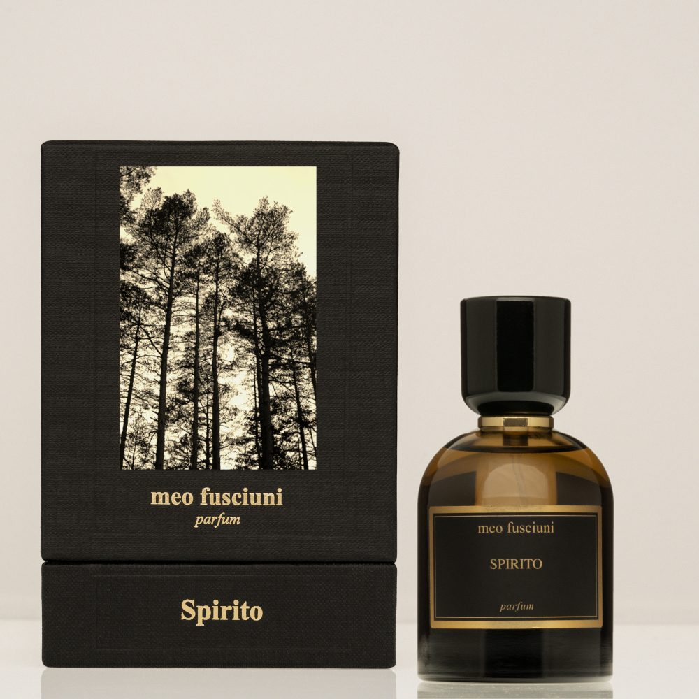 Spirito - immagine 3