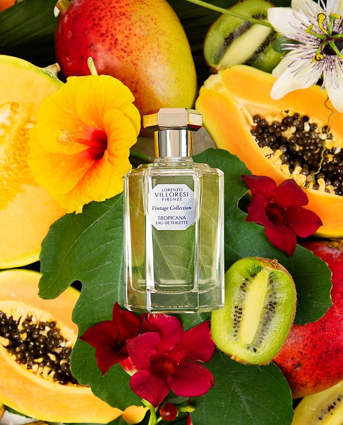 Tropicana - immagine 2
