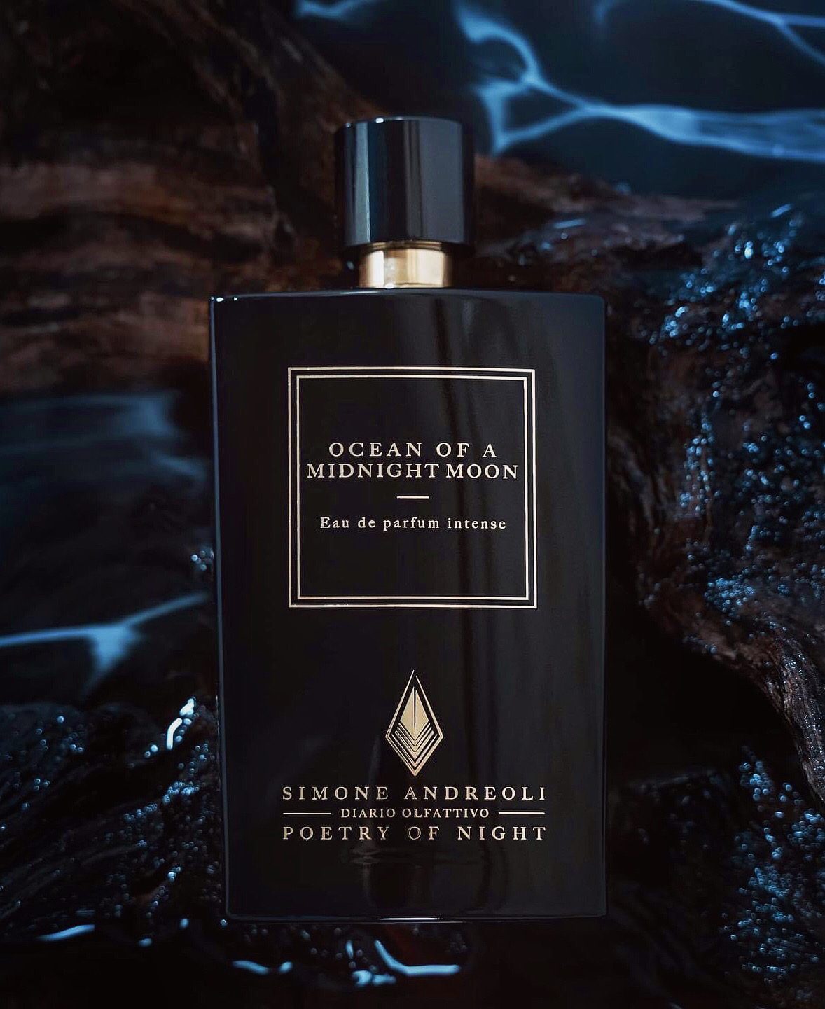 Ocean of a Midnight Moon - immagine 2
