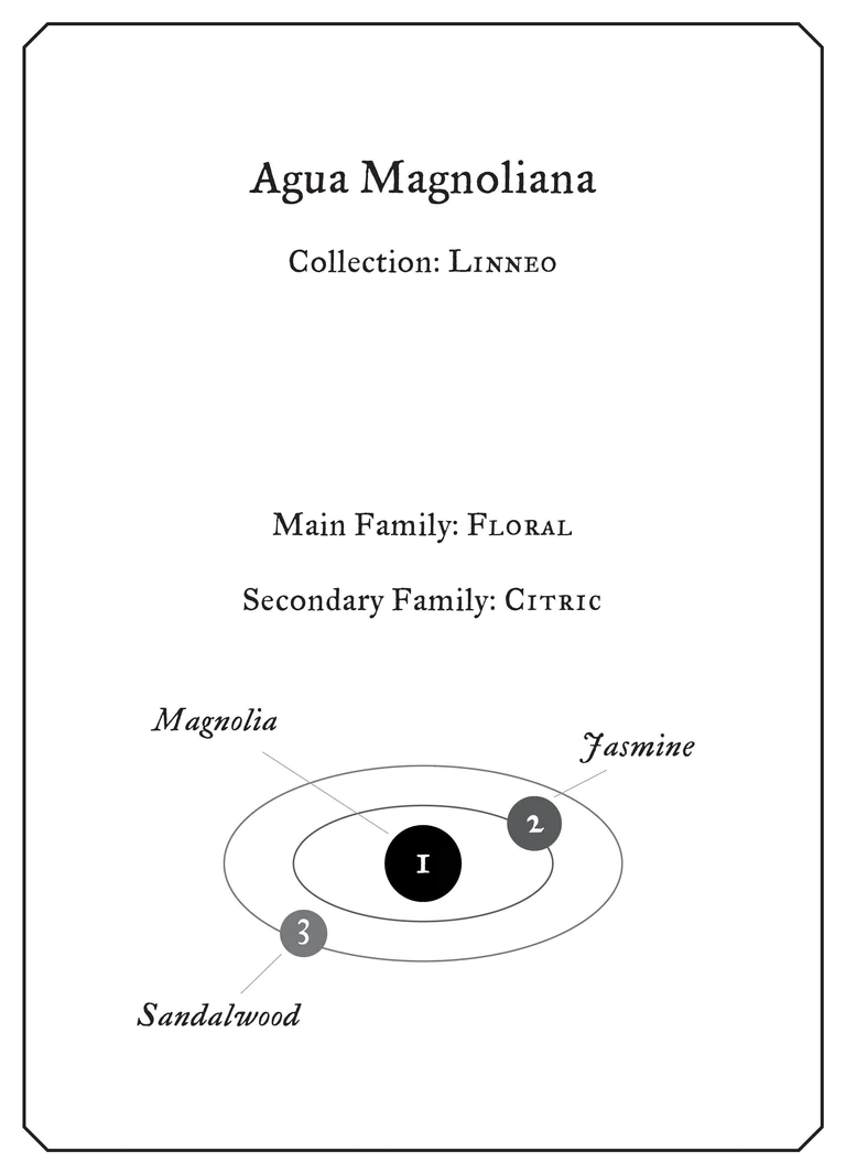 Agua Magnoliana - immagine 3