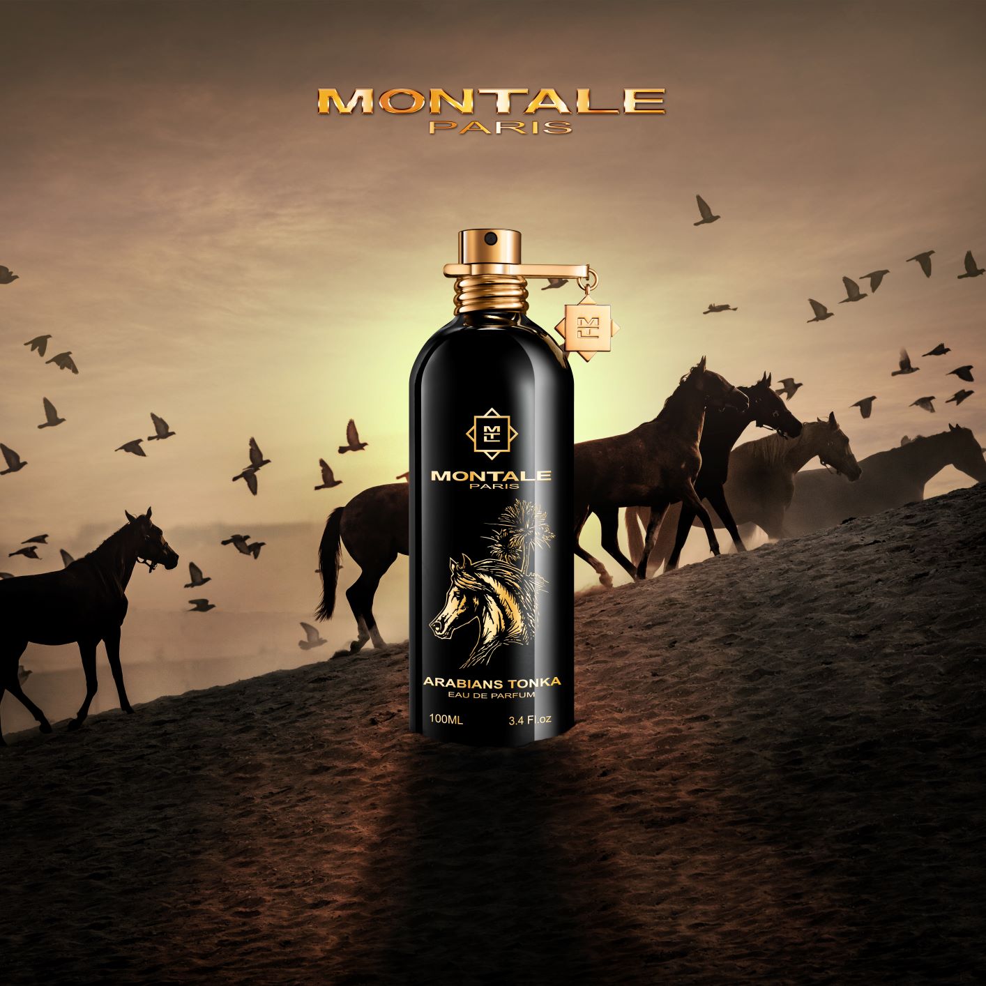 Arabians Tonka - immagine 2