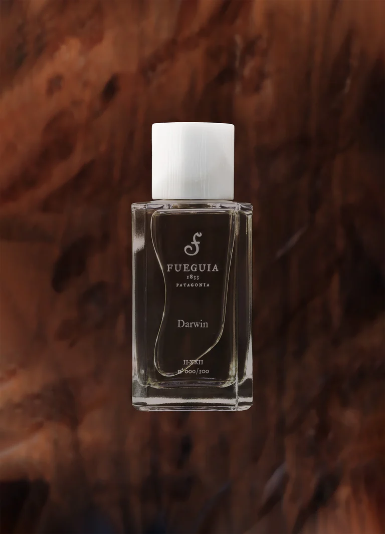 Darwin - immagine 2