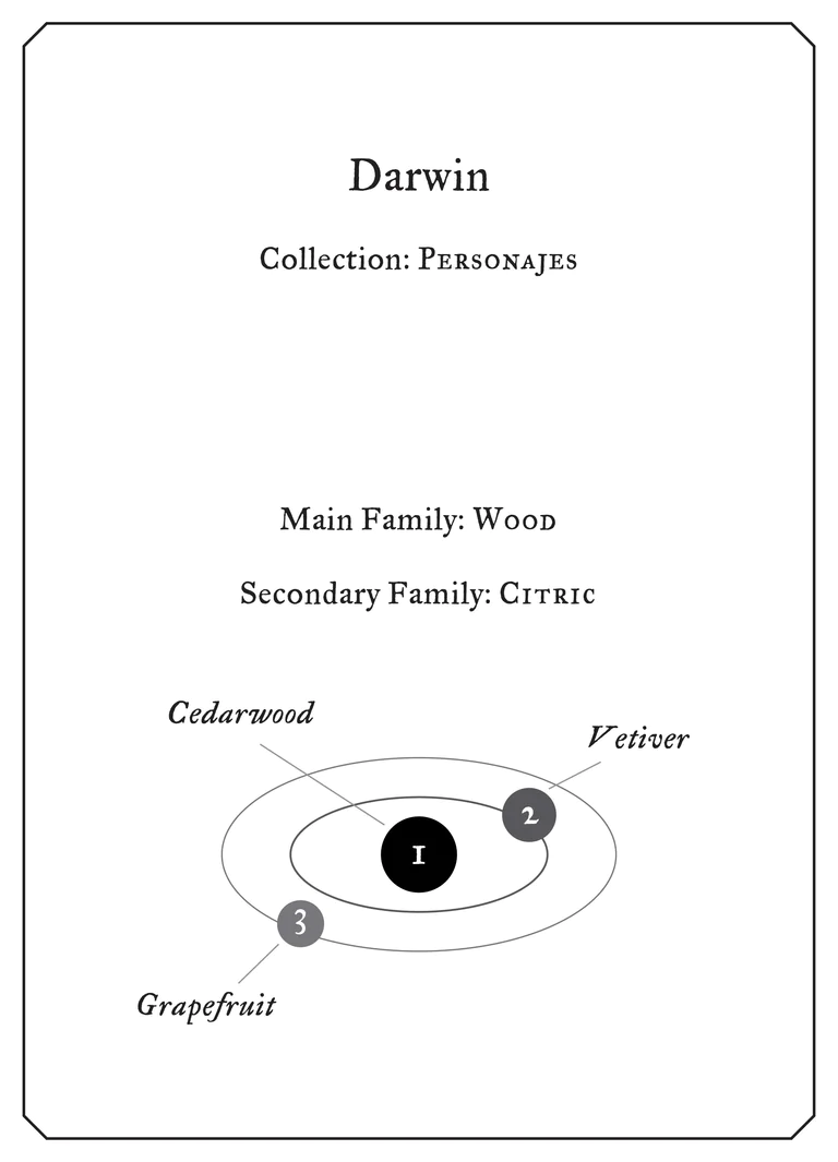 Darwin - immagine 3