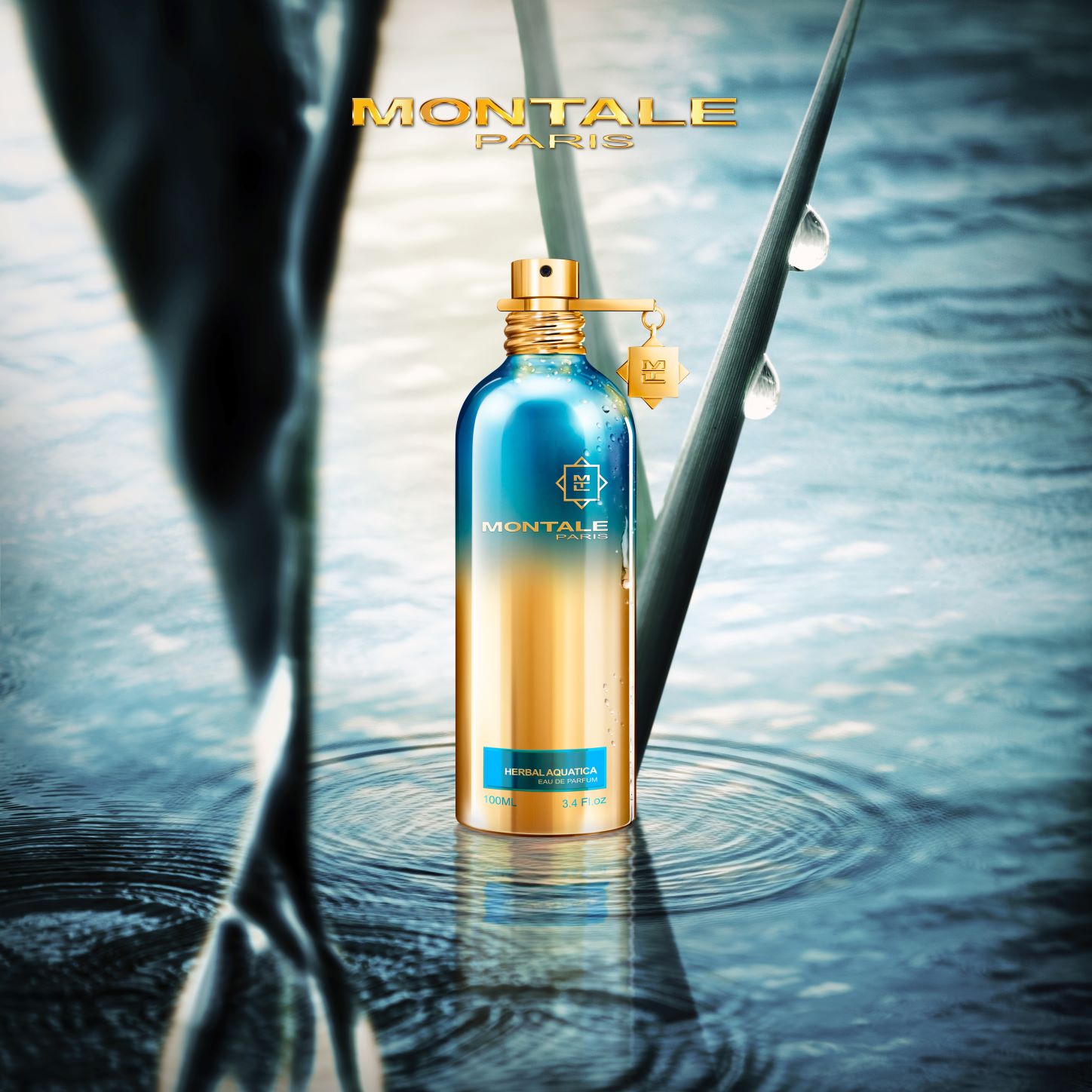 Herbal Aquatica - immagine 2