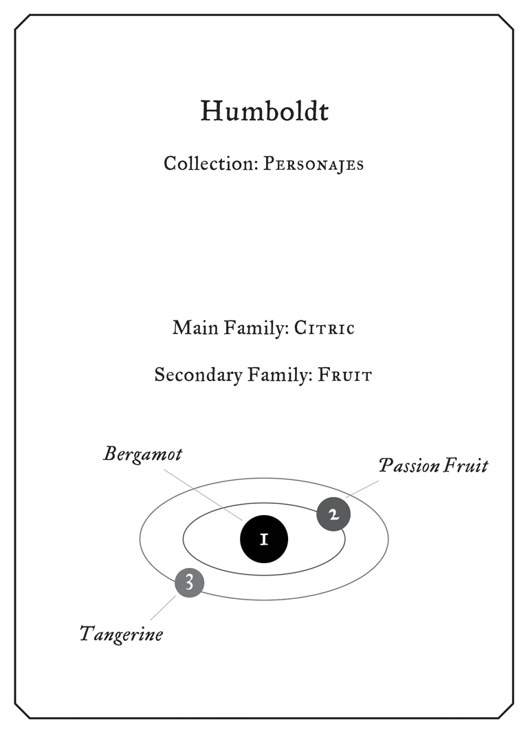Humboldt - immagine 2