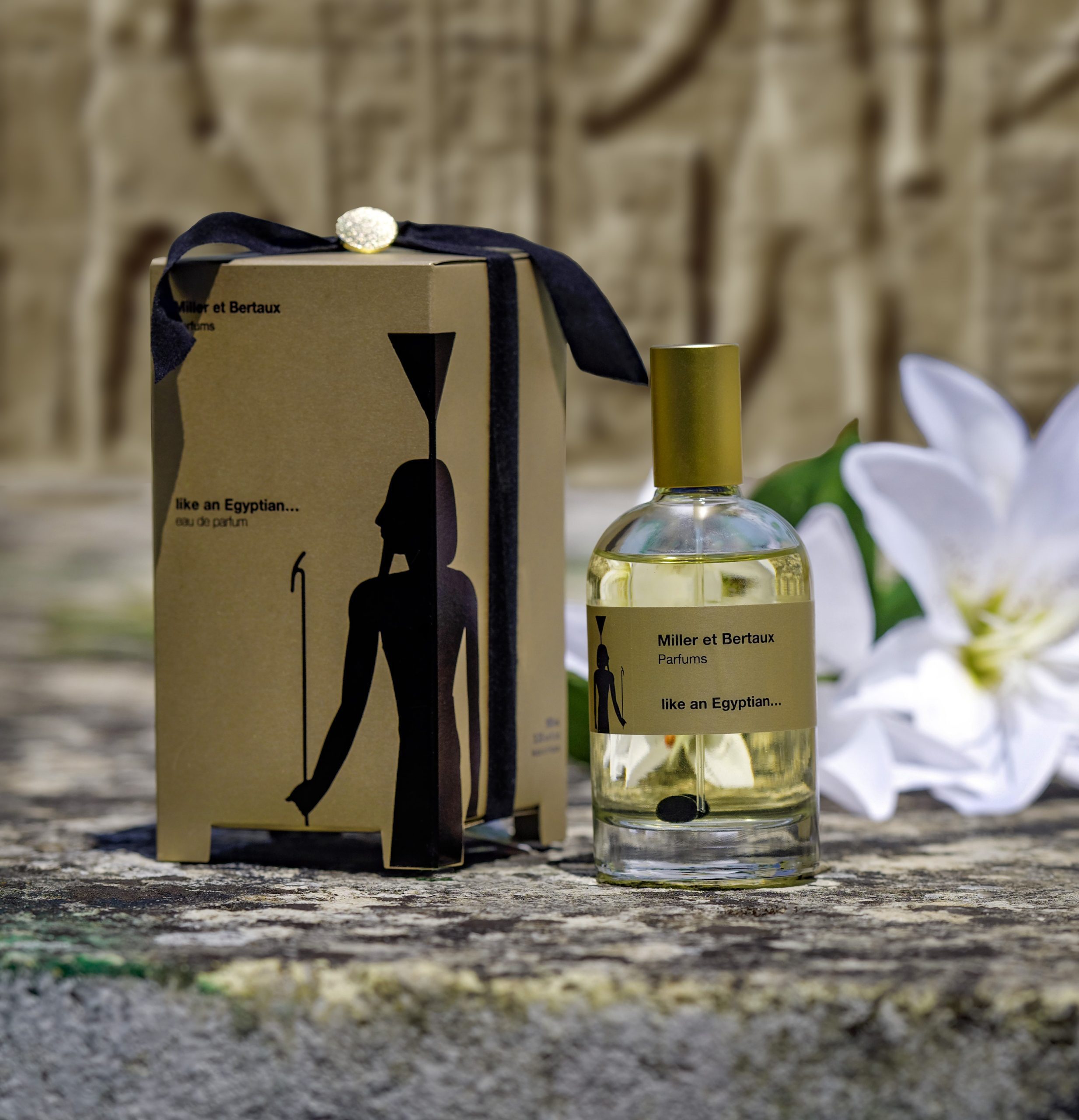 Like an Egyptian ... - immagine 3