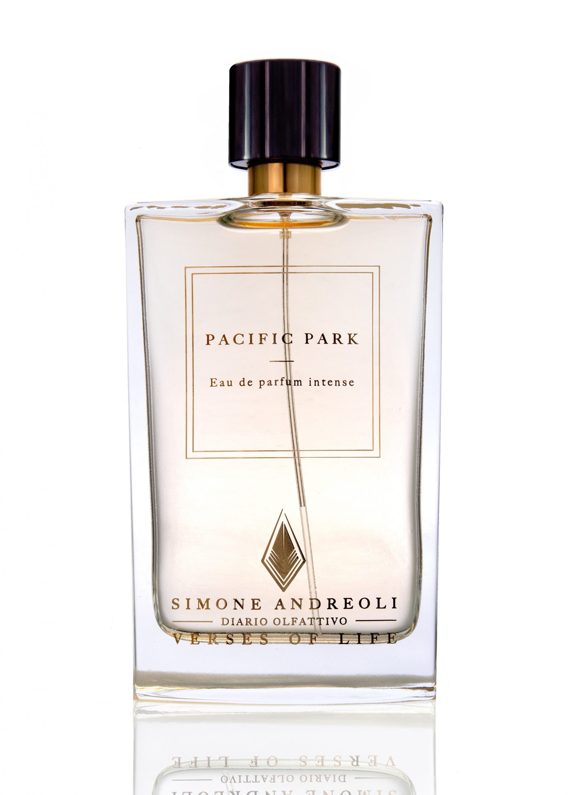 Pacific Park - Scent of Santa Monica
