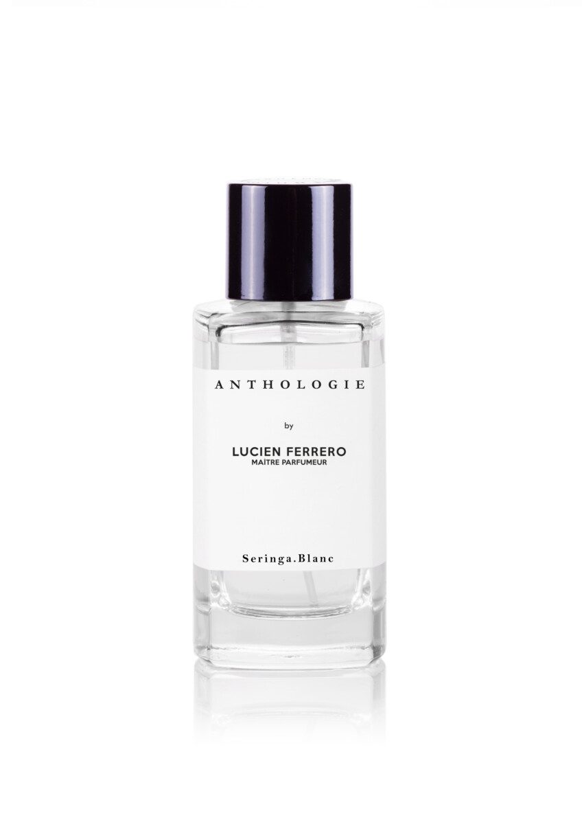Seringa Blanc - immagine 2