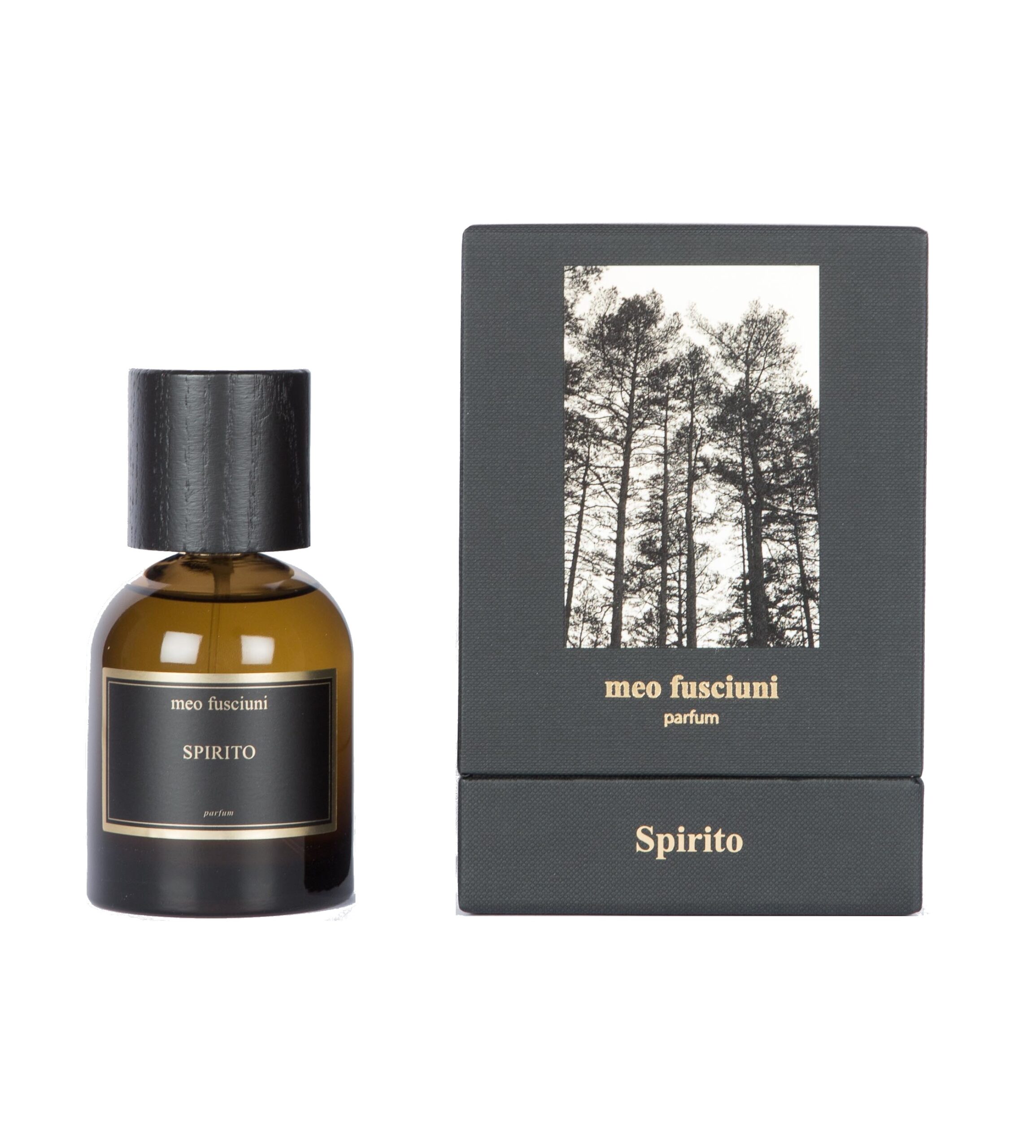 Spirito - immagine 4