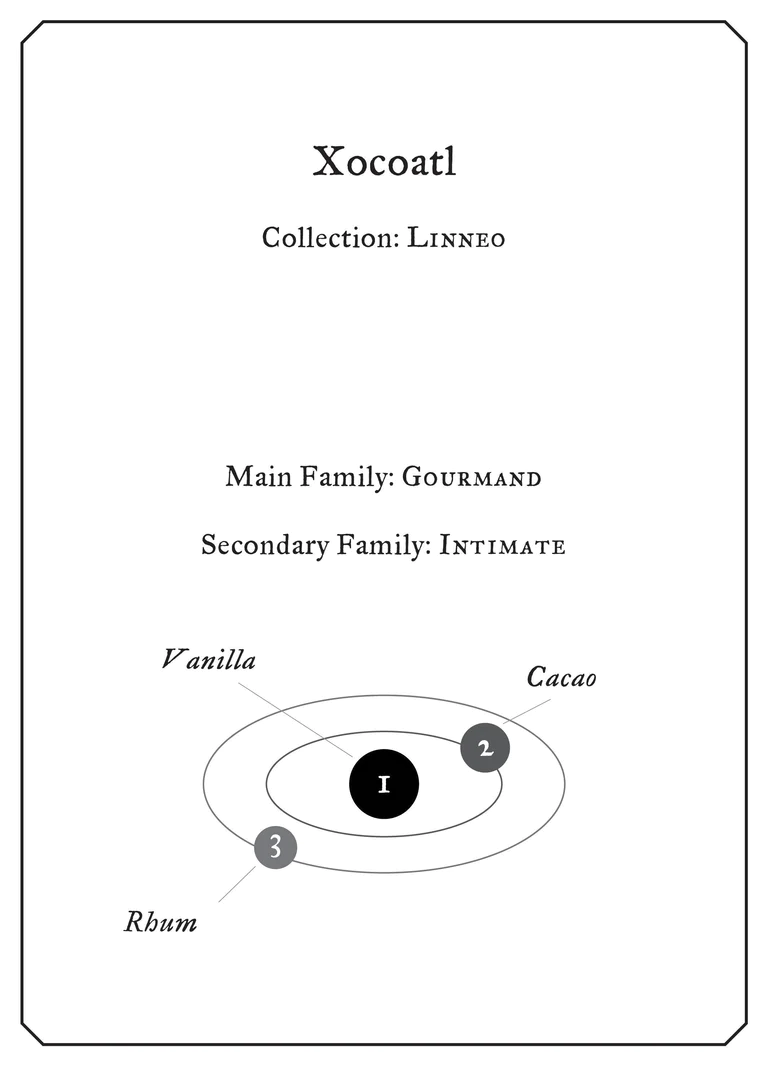 Xocoatl - immagine 2