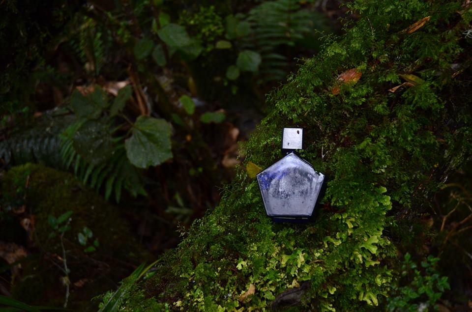 L'Oudh - immagine 3