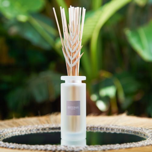 Citronnelle et Menthe Bouquet 100 - immagine 2