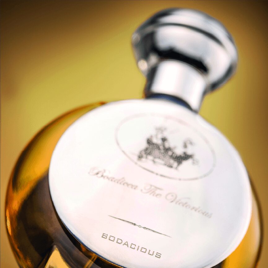 Bodacious - immagine 4