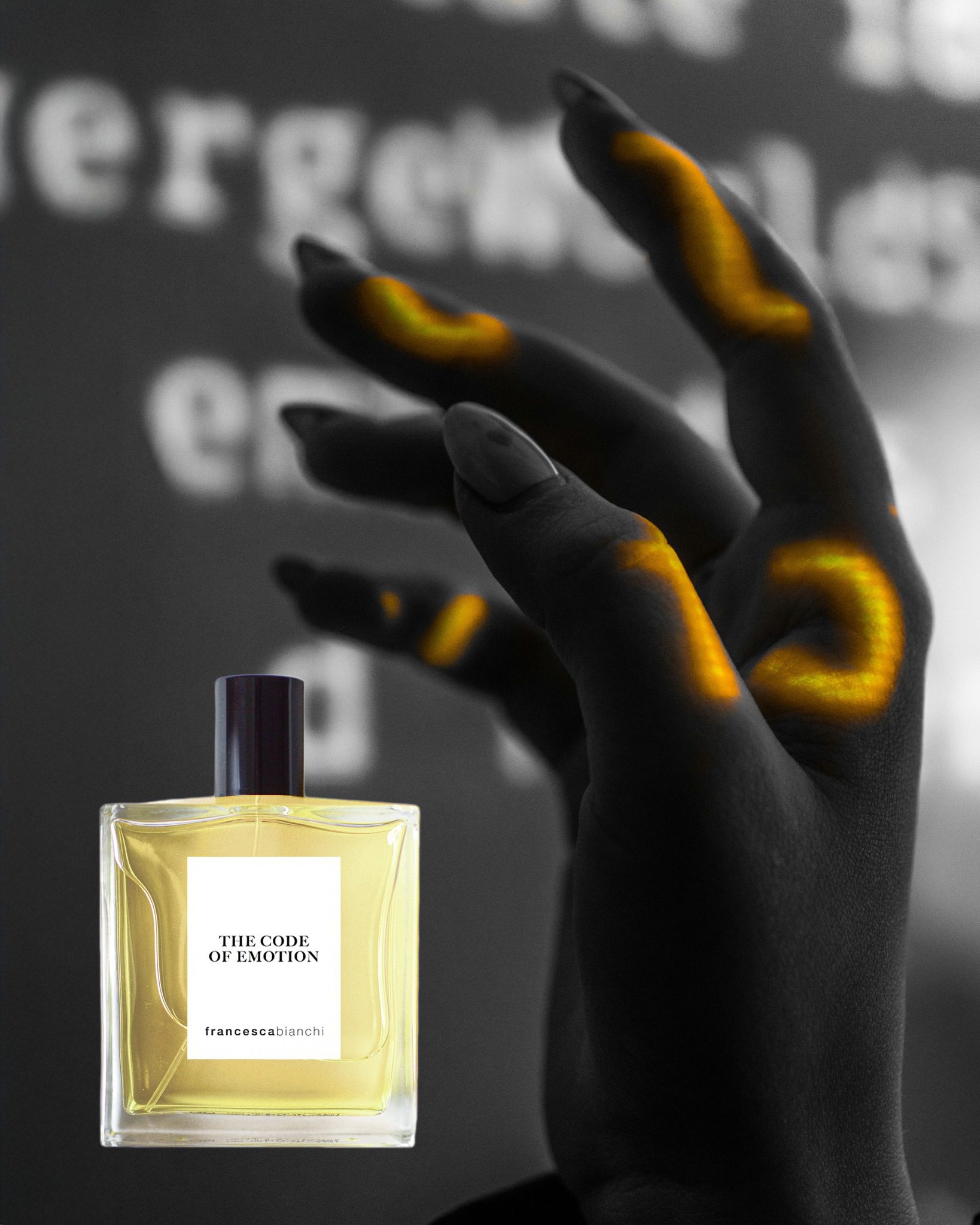 The Code of Emotion - immagine 2