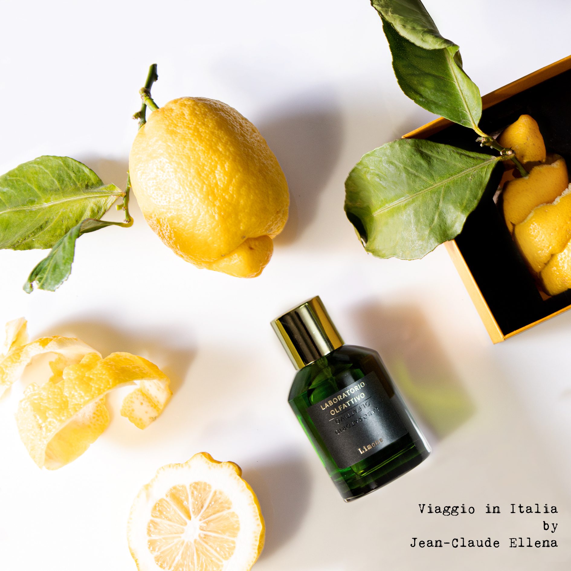 Limone 100 - immagine 2