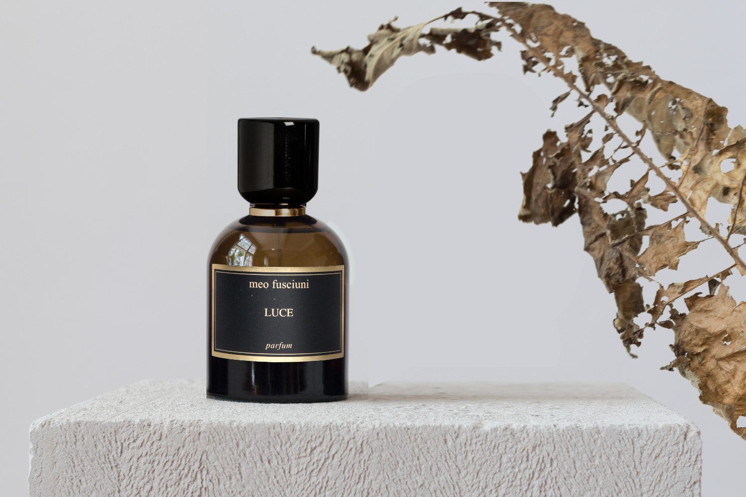 Luce - immagine 2