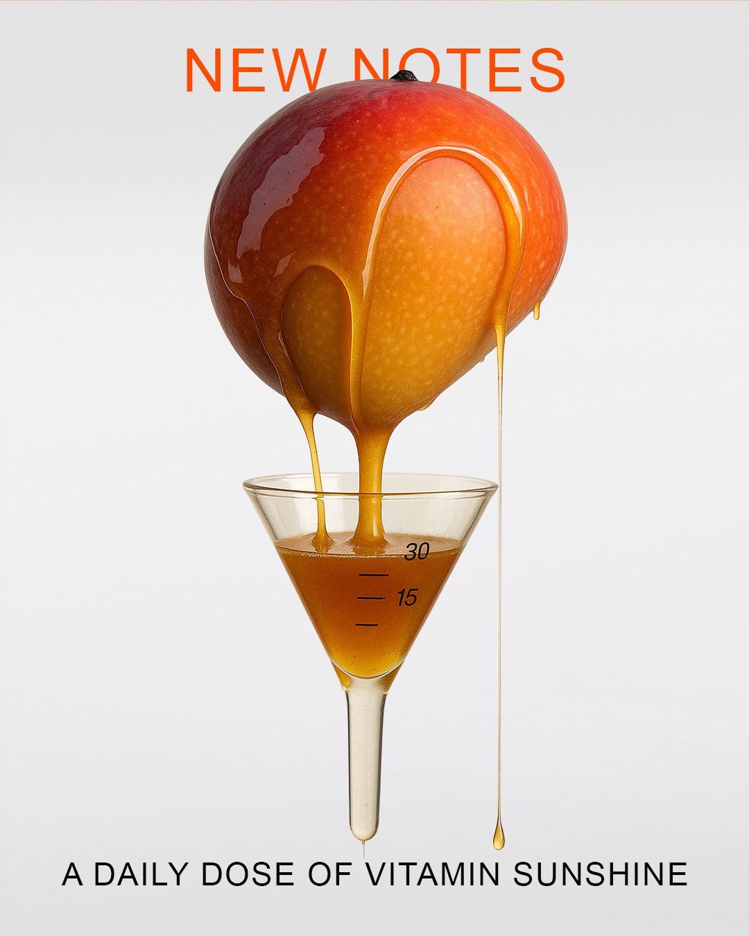 Mangomina D - immagine 4