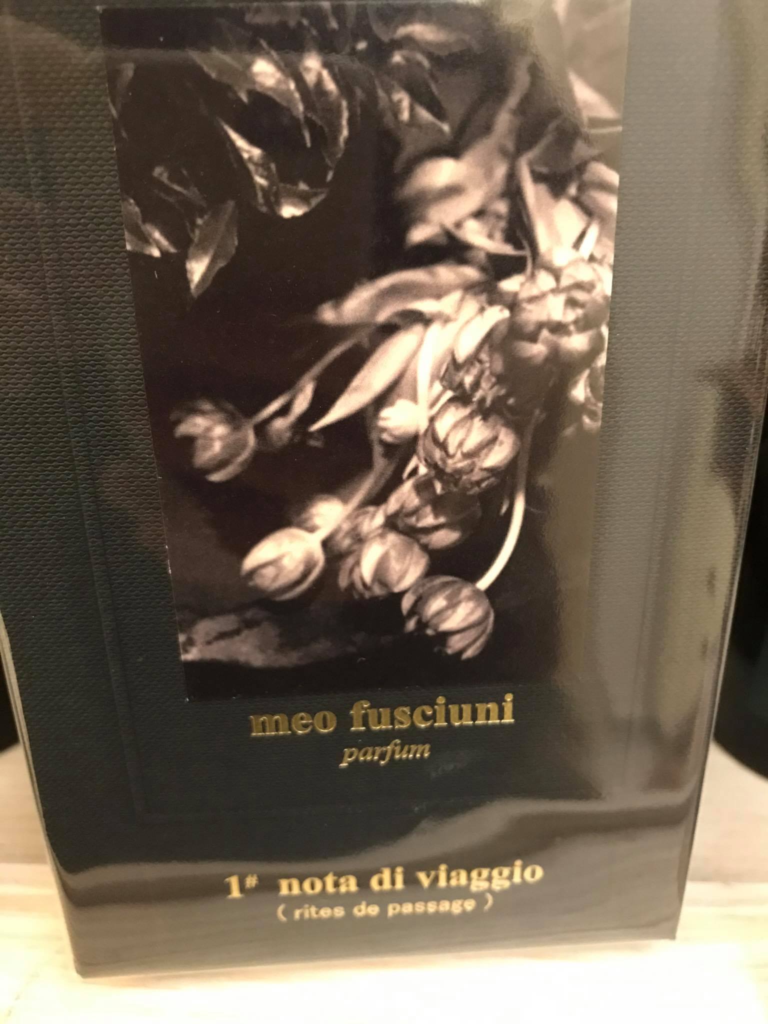 1° Nota di Viaggio (Rites de Passage) - immagine 10