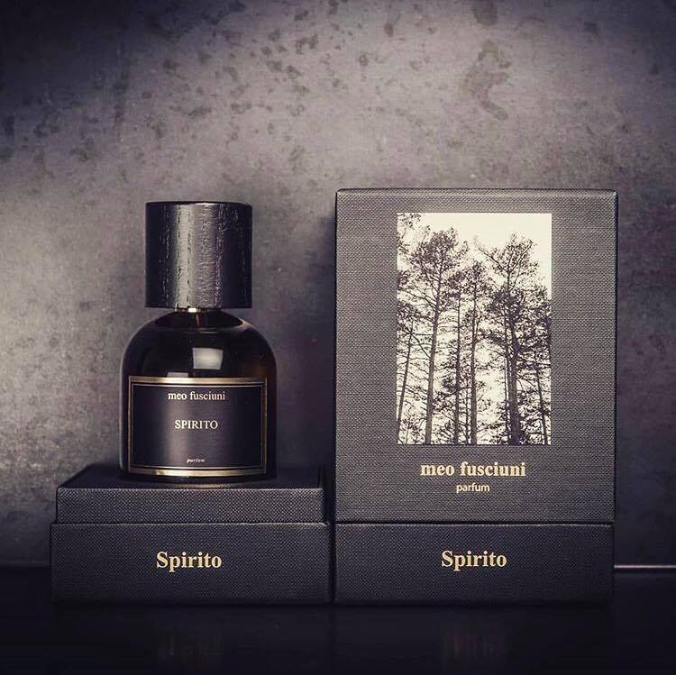 Spirito - immagine 6