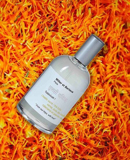 Tulsivivah! - immagine 6