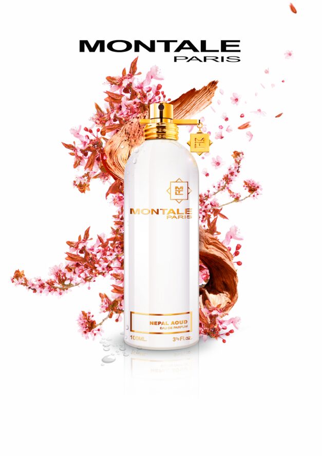 Nepal Aoud - immagine 2