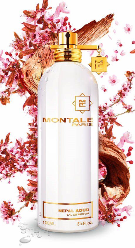 Nepal Aoud - immagine 3