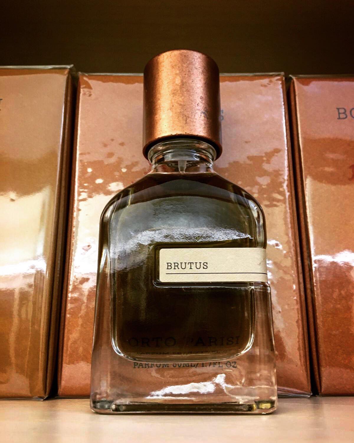 Brutus - immagine 4