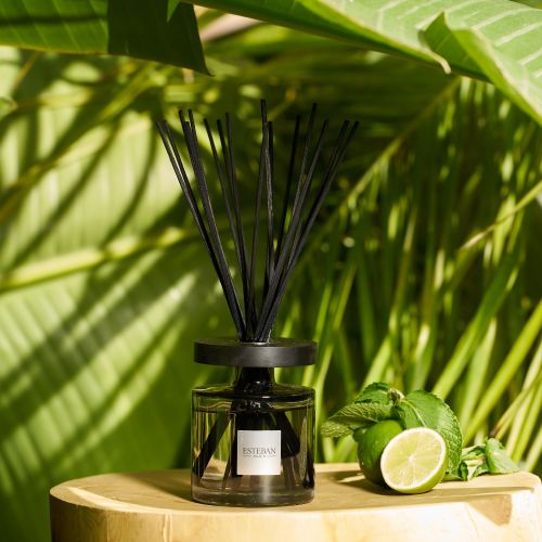 Eau d'Amazonie Bouquet Ellipse 200 - immagine 2