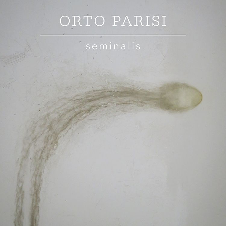 Seminalis - immagine 3