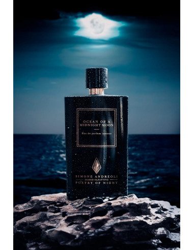 Ocean of a Midnight Moon - immagine 3