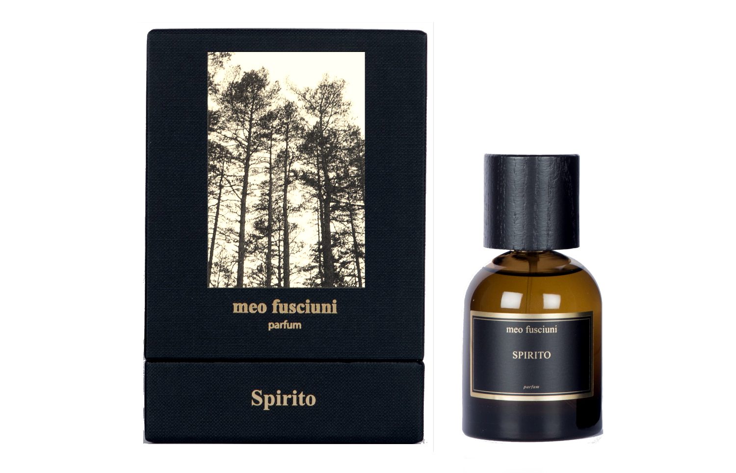 Spirito - immagine 8