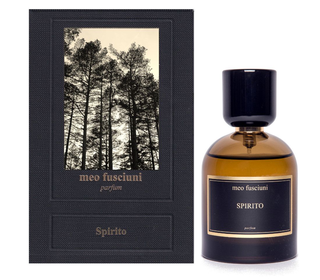 Spirito - immagine 9