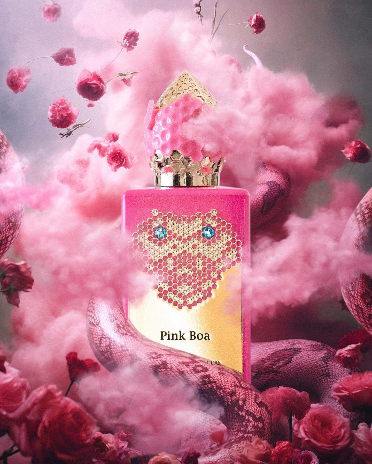 Pink Boa - immagine 2