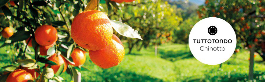 Chinotto Gel Doccia Energizzante - immagine 3