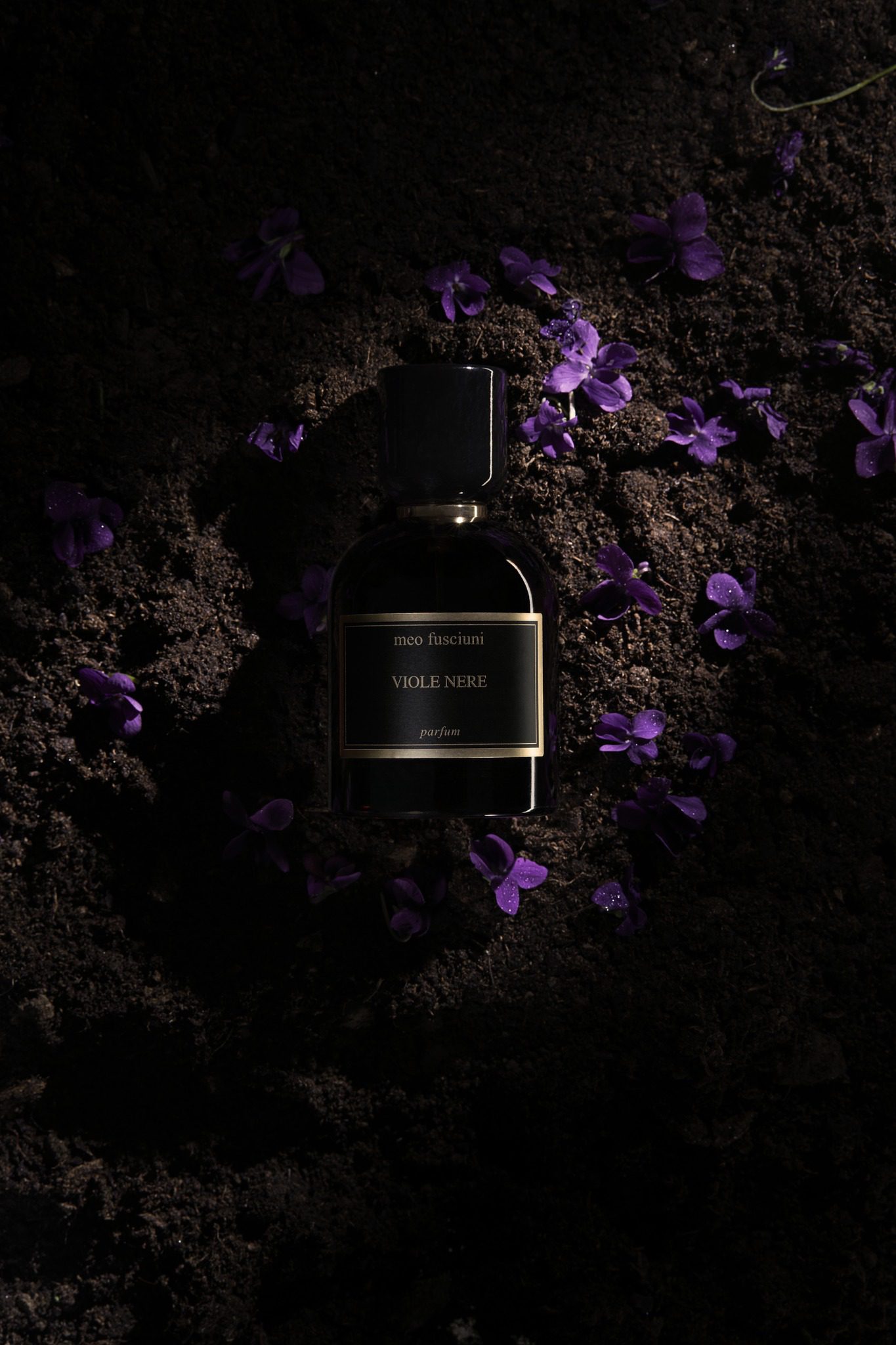 Viole Nere - immagine 2