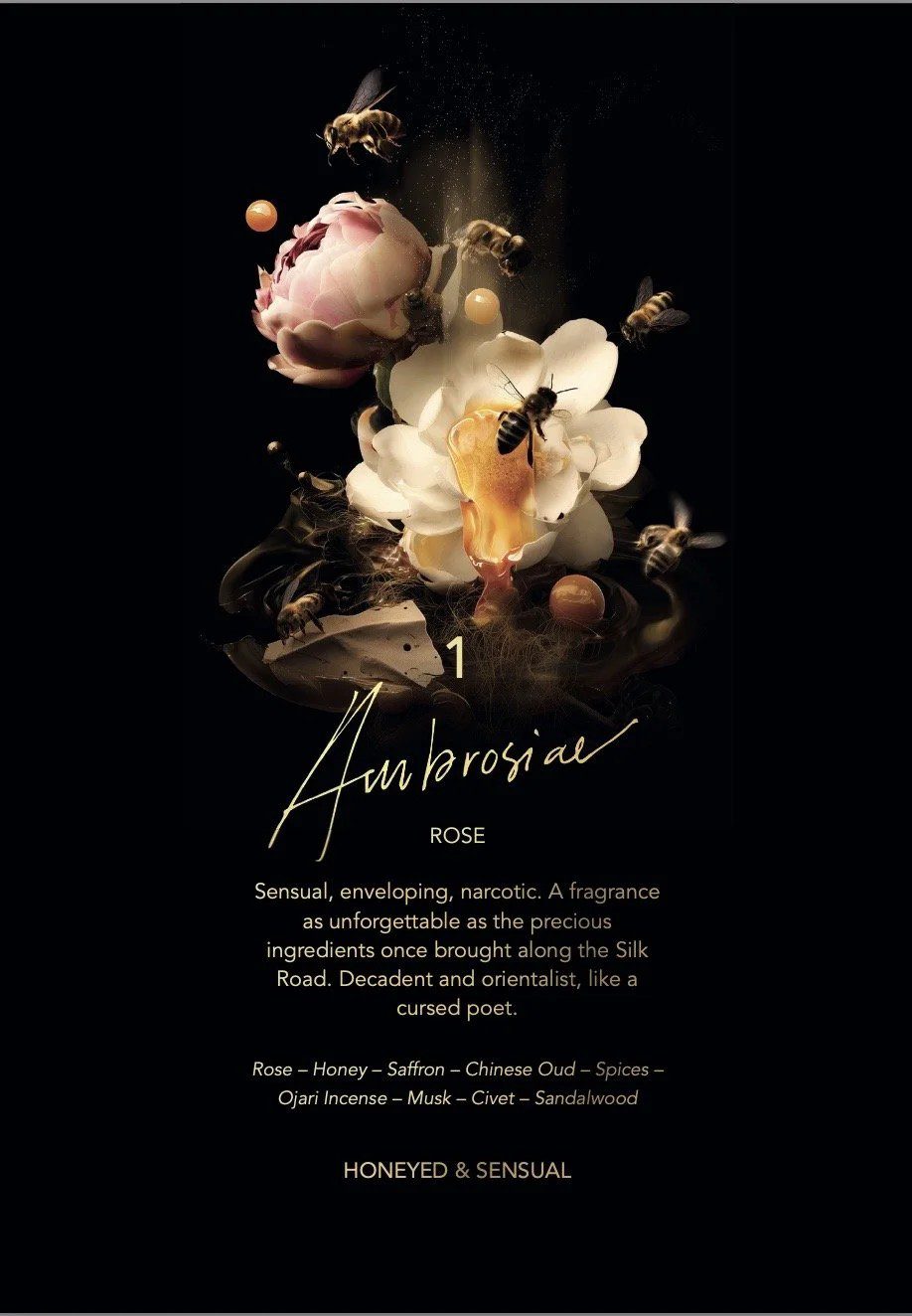 Ambrosiae - immagine 4