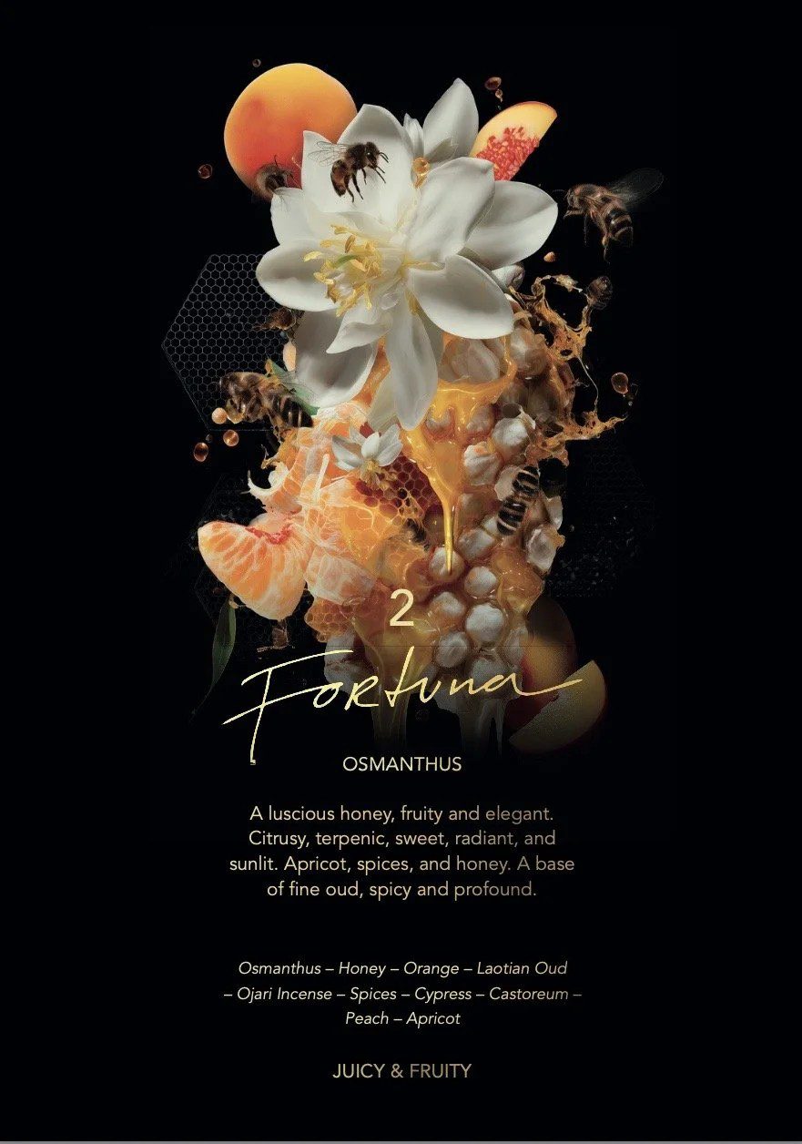 Fortuna - immagine 4