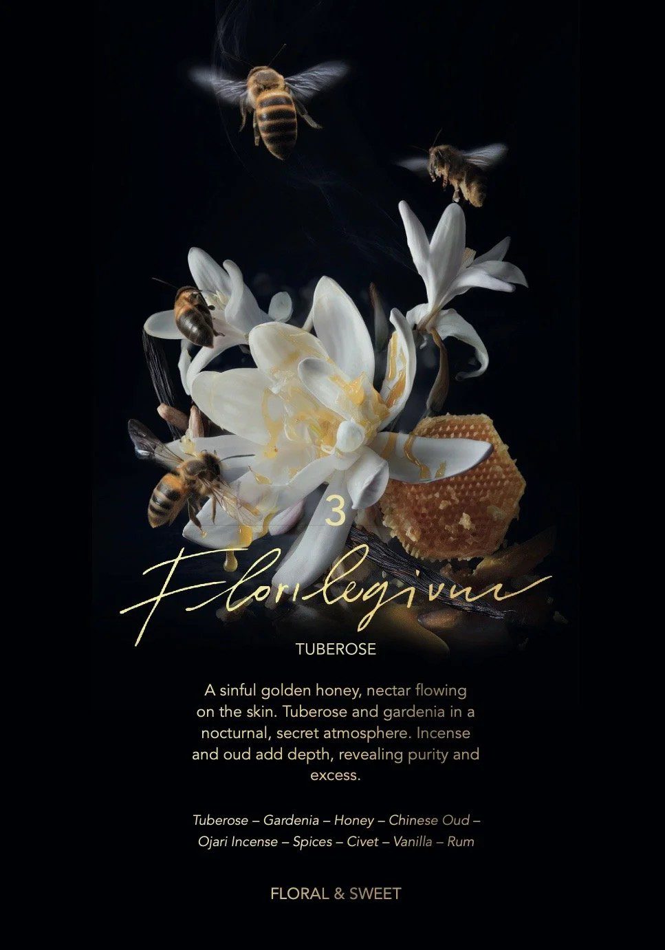 Florilegium - immagine 4