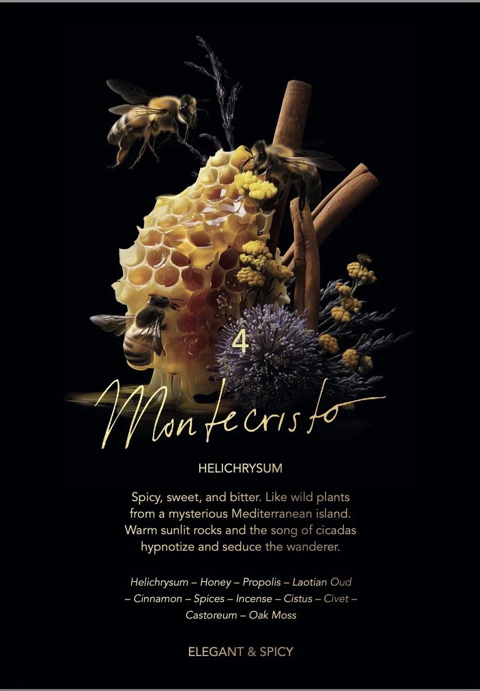 Montecristo - immagine 4